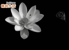 回魂夜是什么意思