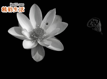 回魂夜是什么意思