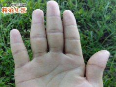 看指纹算命