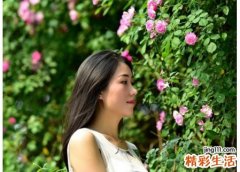属猪2021年1月运势及运程