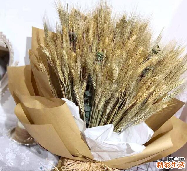 大麦干花摆放的禁忌 大麦干花花束有什么寓意