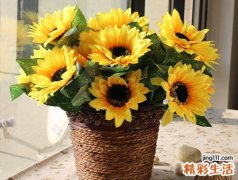梦见假花