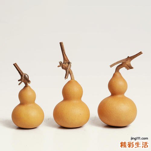 葫芦龙头什么型最好看 葫芦的形状哪种最好