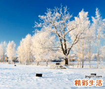 冬天三九是什么时候 冬三九怎么算