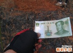 捡钱会不吉利吗