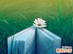 柔系风寒不肤浅最火爆的网名，快手昵称绝美独一无二