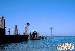 梦见跳水