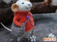 做梦梦到老鼠