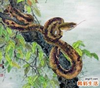 2021年11月属蛇女运势详解