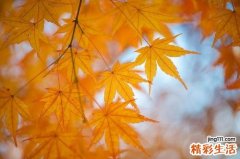 农历十月初十日子好吗 农历十月初十什么时辰好