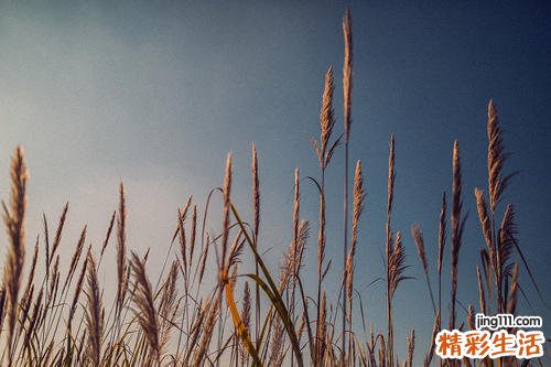 11月7日结婚日子好吗 11月7日是好日子吗