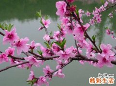 日坐沐浴一生犯桃花