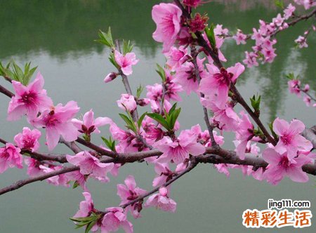 日坐沐浴一生犯桃花
