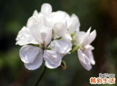 古风有韵味的快手昵称，简单好记好听的网名大全