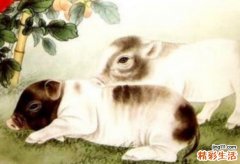 猪的桃花劫是什么生肖？属猪的什么时候犯桃花？