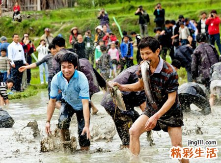 孕妇梦见抓鱼