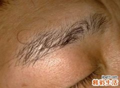右眉毛一根特别长运势