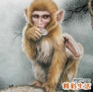 属猴哪个时辰出生最好命 属猴哪个时辰出生大富大贵