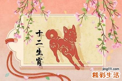 1994年出生的2022年多大？1994年出生的人是什么命？