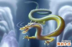 88年属龙在2022年怎么样 88年龙2022年财运好吗