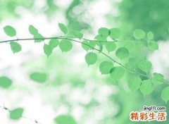 非常狂妄的高冷快手网名，独特酷拽英文名字带翻译