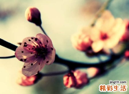 文艺有格调的日系网名，简单格调高的绚丽昵称