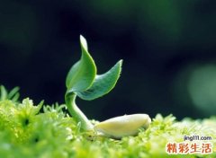 很励志的微信网名致自己，微信昵称阳光深刻有内涵