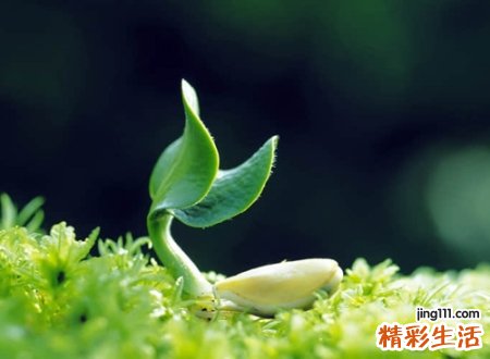 很励志的微信网名致自己，微信昵称阳光深刻有内涵