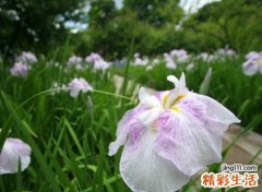 黯然销魂的伤感英语网名，英文昵称世间最揪心的痛楚