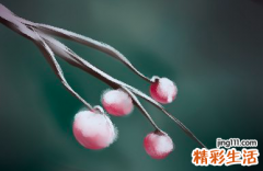 水瓶座和什么座最配 水瓶座根本放不下这些星座是哪些