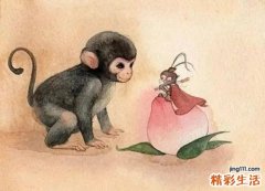 属猴2022年运势及运程 属猴2022年运势及运程女性