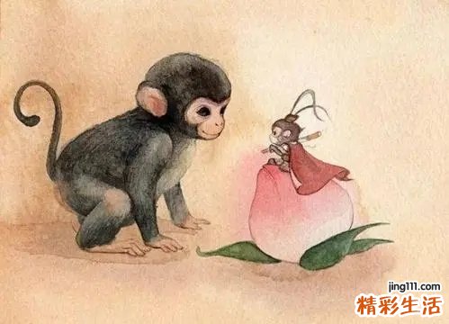 属猴2022年运势及运程 属猴2022年运势及运程女性