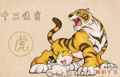 属虎的人2022年全年完整运势详解