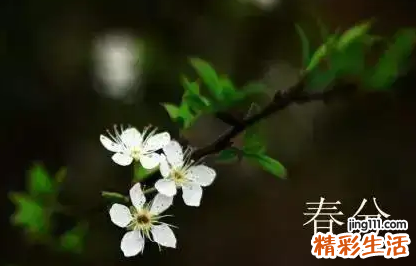 春分是2022的几月几日 2022年春分后天气还会冷吗