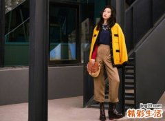 属猴的永久幸运颜色，属猴一生最旺颜色