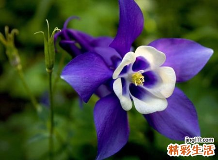 难懂又有深意的爱情网名，心里伤感有些许失落的恋爱昵称