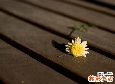 三十岁而立之年专属网名，励志网名历经苦难痴心不改