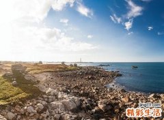 梦见蚰蜒