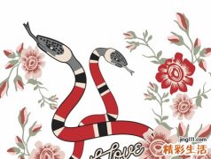 女人梦见被蛇咬