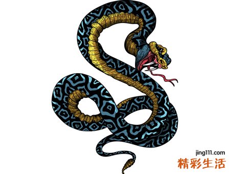 女人梦见好多蛇