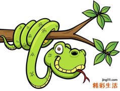 梦见蛇究竟