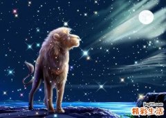 狮子座女生性格特点好吗 狮子座女生配什么星座