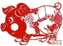 1995年运势的猪,1995年属猪的财运