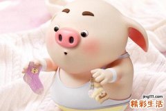 1995年属猪2022年每月运势,1995年运势属猪男2022年的运势