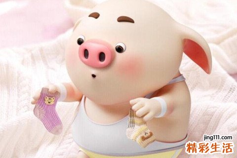 1995年属猪2022年每月运势,1995年运势属猪男2022年的运势