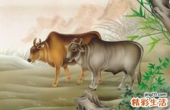 1985年属牛人每月运势,虎年1985年综合运势