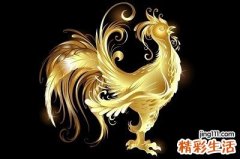 属鸡的虎年运势,属鸡2022年的运势及运程