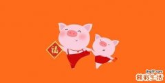 1995属猪2022年运势,1995属猪2022年运势方位