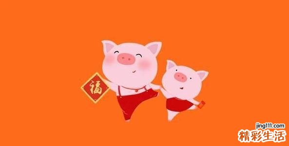 1995属猪2022年运势,1995属猪2022年运势方位