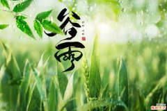 谷雨是24节气中的第几个节气 24节气中的谷雨是什么时候